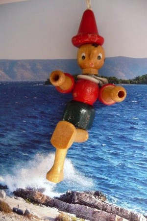 Unsere "Pino´s"